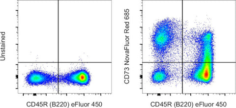 CD73 Monoclonal Antibody (eBioTY/11.8 (TY/11.8)), NovaFluor Red 685, eBioscience