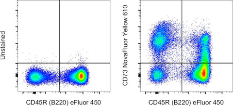 CD73 Monoclonal Antibody (eBioTY/11.8 (TY/11.8)), NovaFluor Yellow 610, eBioscience