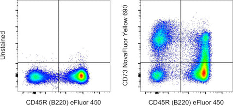 CD73 Monoclonal Antibody (eBioTY/11.8 (TY/11.8)), NovaFluor Yellow 690, eBioscience