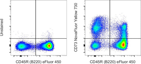 CD73 Monoclonal Antibody (eBioTY/11.8 (TY/11.8)), NovaFluor Yellow 730, eBioscience