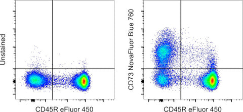 CD73 Monoclonal Antibody (eBioTY/11.8 (TY/11.8)), NovaFluor Blue 760, eBioscience