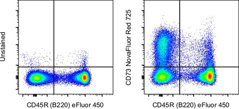 CD73 Monoclonal Antibody (eBioTY/11.8 (TY/11.8)), NovaFluor Red 725, eBioscience