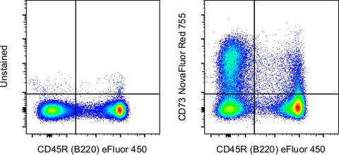 CD73 Monoclonal Antibody (eBioTY/11.8 (TY/11.8)), NovaFluor Red 755, eBioscience