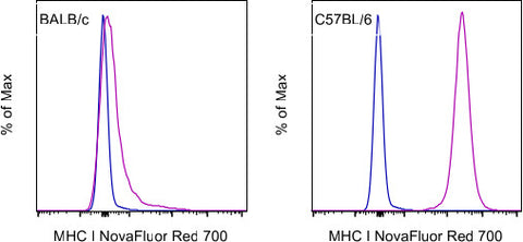 MHC Class I (H-2Kb) Monoclonal Antibody (AF6-88.5.5.3), NovaFluor Red 700, eBioscience