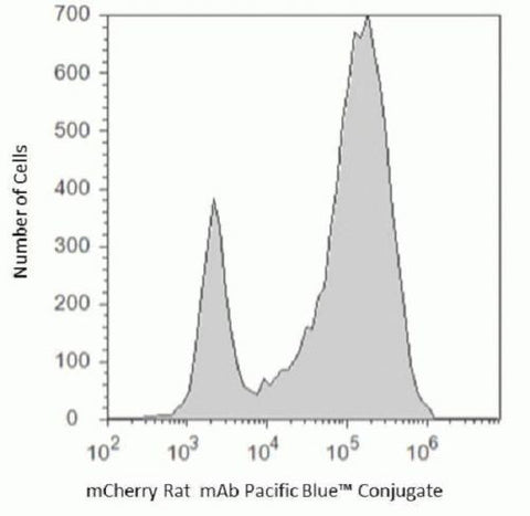 mCherry Monoclonal Antibody (16D7), Pacific Blue