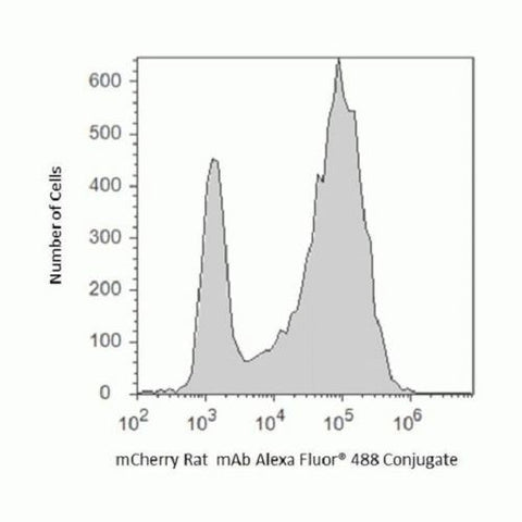 mCherry Monoclonal Antibody (16D7), Alexa Fluor 488