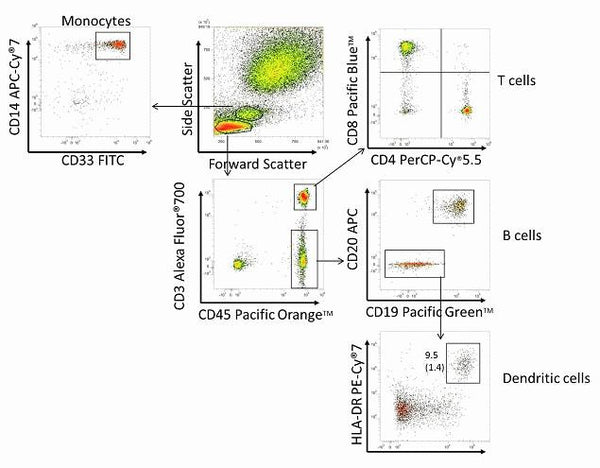 CD8 Monoclonal Antibody (3B5), Pacific Blue | Cytek Biosciences