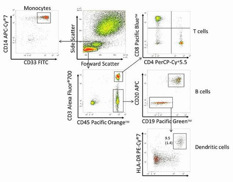 CD8 Monoclonal Antibody (3B5), Pacific Blue