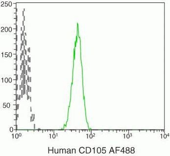 CD105 Monoclonal Antibody (SN6), Alexa Fluor 488