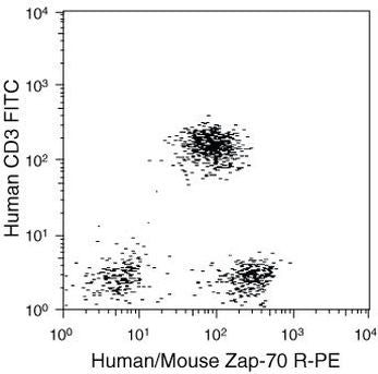 Zap-70 Monoclonal Antibody (1E7.2), PE