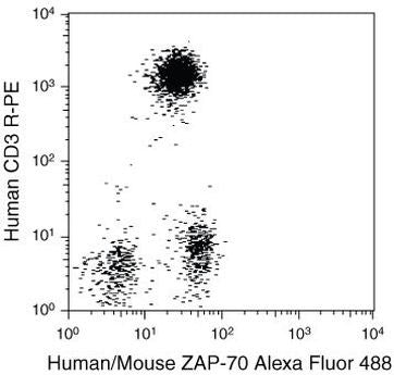 Zap-70 Monoclonal Antibody (1E7.2), Alexa Fluor 488