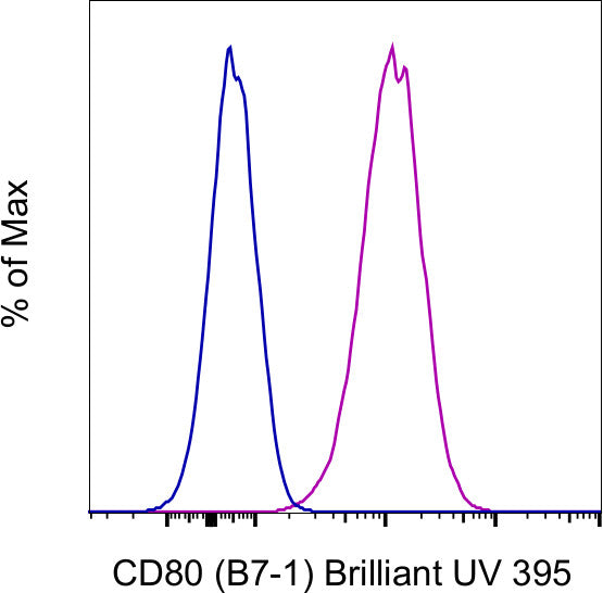 CD80 (B7-1) Monoclonal Antibody (2D10.4), Brilliant Ultra Violet 395 ...