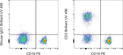 CD3 Monoclonal Antibody (SK7), Brilliant Ultra Violet 496, eBioscience