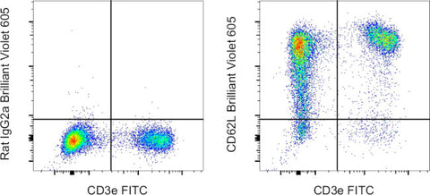 CD62L (L-Selectin) Monoclonal Antibody (MEL-14), Brilliant Violet 605, eBioscience