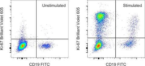 Ki-67 Monoclonal Antibody (20Raj1), Brilliant Violet 605, eBioscience