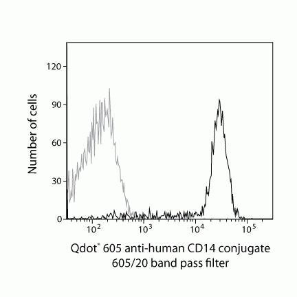 CD14 Monoclonal Antibody (TüK4), Qdot 605