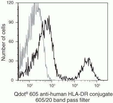 HLA-DR Monoclonal Antibody (TU36), Qdot 605
