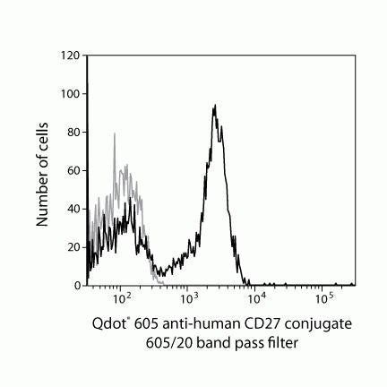 CD27 Monoclonal Antibody (CLB-27/1), Qdot 605