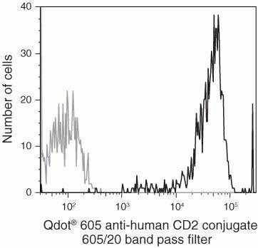 CD2 Monoclonal Antibody (S5.5), Qdot 605