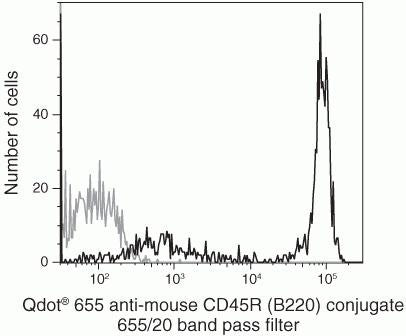 CD45R Monoclonal Antibody (RA3-6B2), Qdot 655