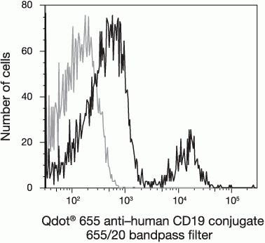 CD19 Monoclonal Antibody (SJ25-C1), Qdot 655
