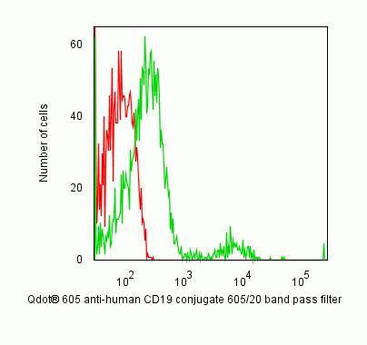 CD19 Monoclonal Antibody (SJ25-C1), Qdot 605