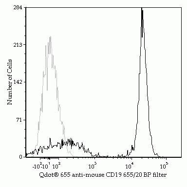 CD19 Monoclonal Antibody (6D5), Qdot 655