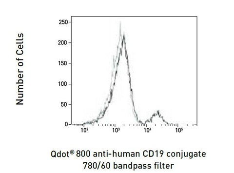 CD19 Monoclonal Antibody (SJ25-C1), Qdot 800