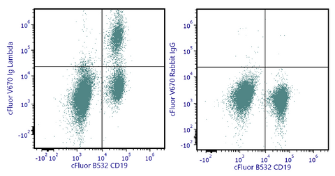 cFluor<sup>&reg;</sup> V670 Anti-Human Ig Lambda (Polyclonal)