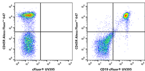 cFluor<sup>&reg;</sup> UV395 Anti-Mouse CD19 (6D5)