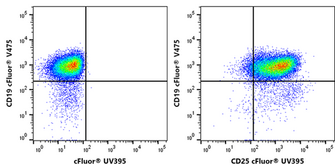 cFluor<sup>&reg;</sup> UV395 Anti-Mouse CD25 (PC61.5.3)