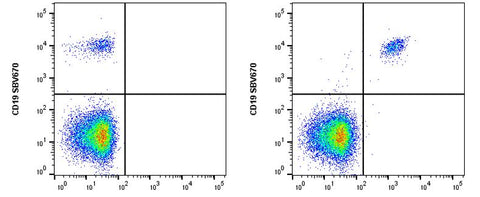 cFluor<sup>&reg;</sup> UV515 anti-Human CD20 (2H7)