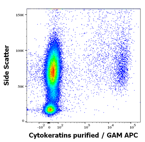 Purified Anti-Mammal Cytokeratin, Pan (C11)