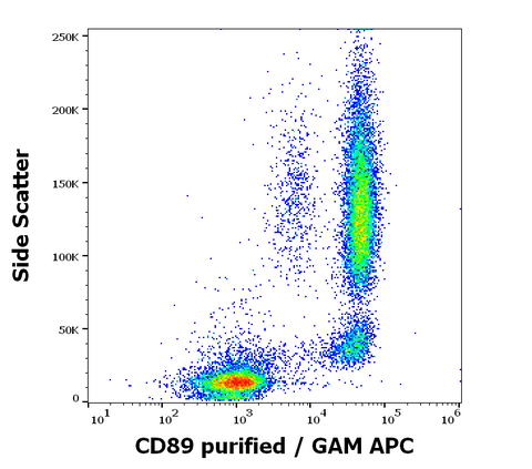 Purified Anti-Human CD89 (A59)