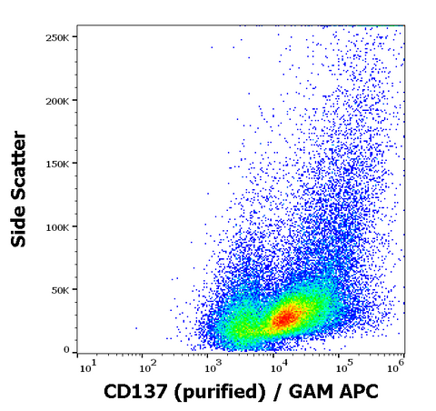 Purified Anti-Human CD137 (4B4-1)