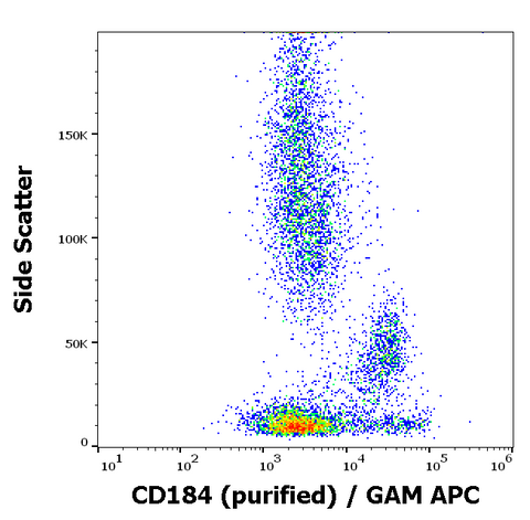 Purified Anti-Human CD184 (CXCR4) (12G5)
