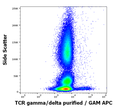 Purified Anti-Human TCR γ/δ (B1)