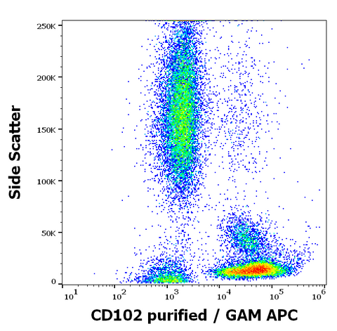 Purified Anti-Human CD102 (ICAM-2) (CBR-IC2/2)