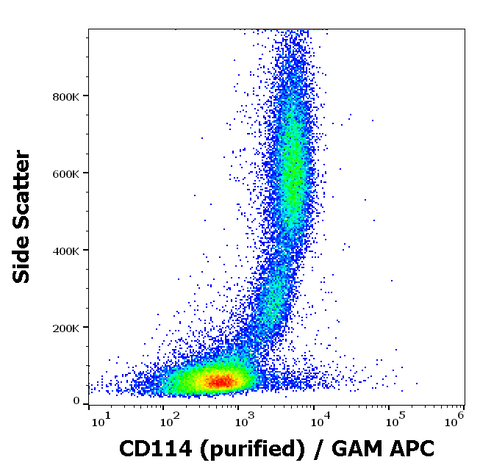 Purified Anti-Human CD114 (LMM741)