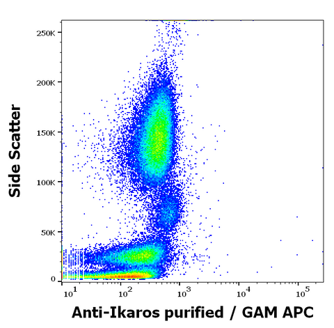 Purified Anti-Human/Mouse IKAROS (4E9)
