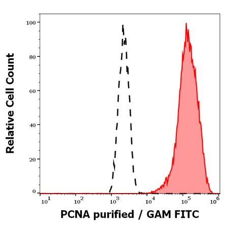 Purified Anti-Human/Mouse PCNA (PC10)