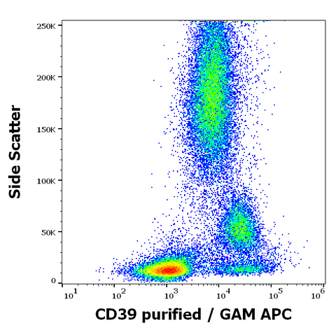 Purified Anti-Human CD39 (TU66)