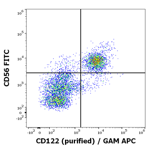 Purified Anti-Human CD122 (IL-2Rb) (TU27)