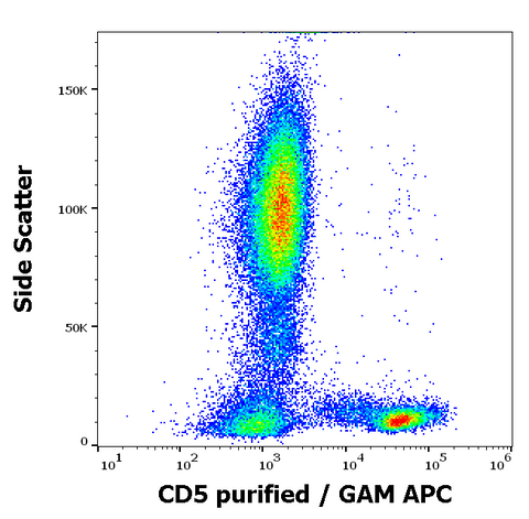Purified Anti-Human CD5 (MEM-32)
