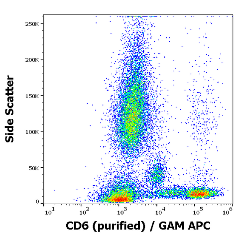 Purified Anti-Human CD6 (MEM-98)
