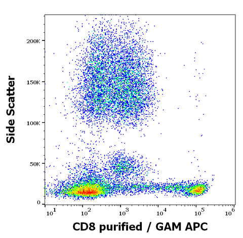 Purified Anti-Human CD8 (MEM-31)