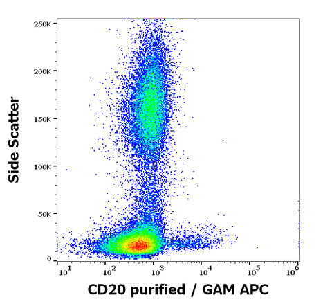 Purified Anti-Human CD20 (MEM-97)