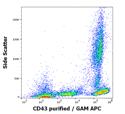 Purified Anti-Human CD43 (MEM-59)