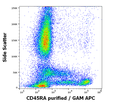 Purified Anti-Human CD45RA (MEM-56)
