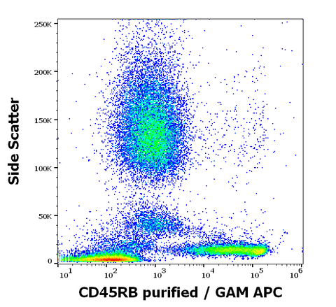 Purified Anti-Human CD45RB (MEM-55)